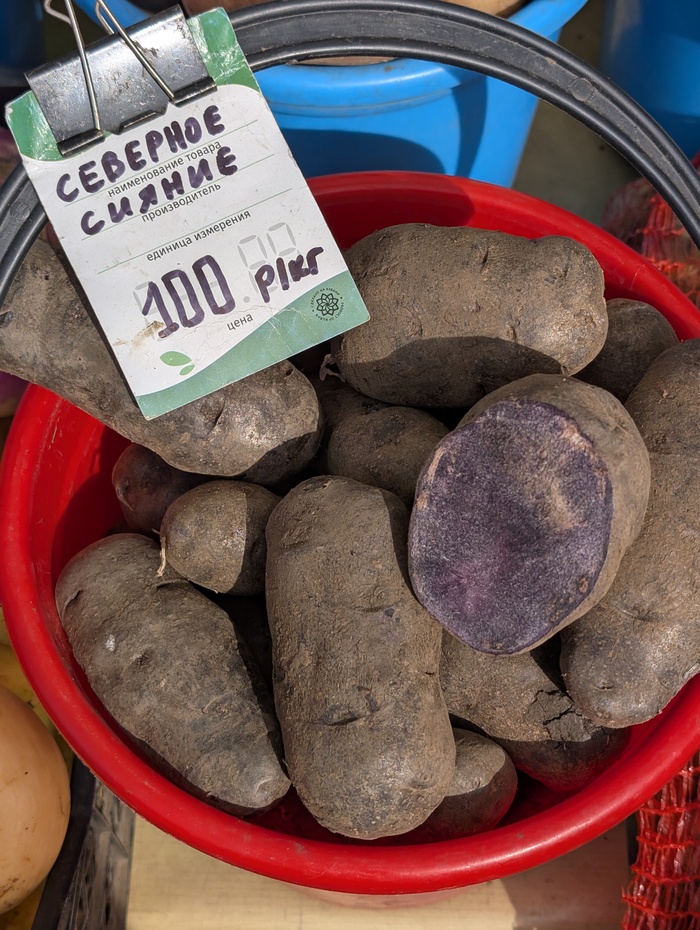 Сколкьо стоит северное сияние?