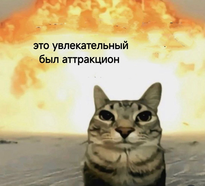 Итоги месяца на пикабу