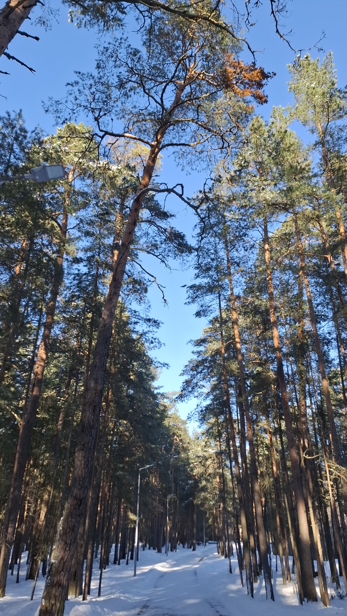 ���������� ����