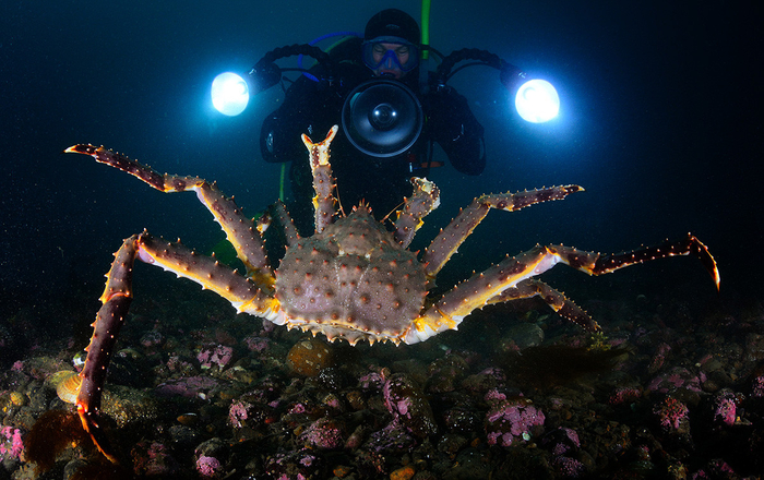 �����, ��������, ��� ���� ���, � � ��� �� ���� ������� ������!