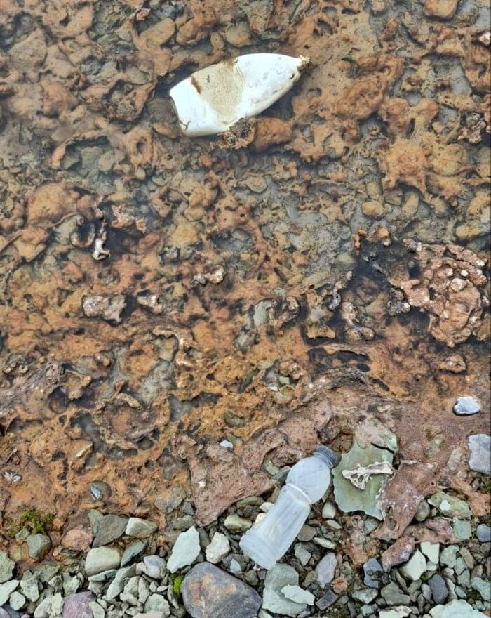 ����� ������� ������ � ���������� ����� 100 ����������� ���������� ��������