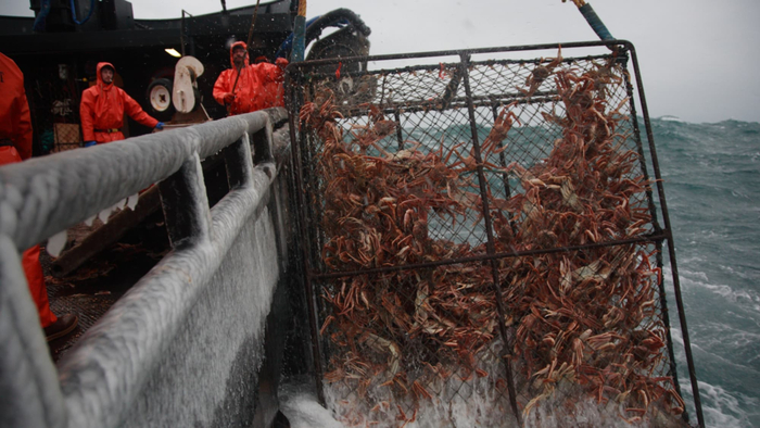 �������� �� ����������� ������, �������� ������ ������ ����� �����.