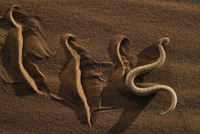 ������������ ��� � � ������.