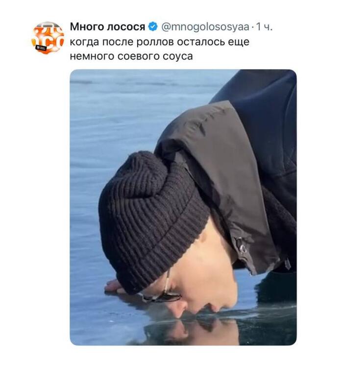 ���� ����������� ���������