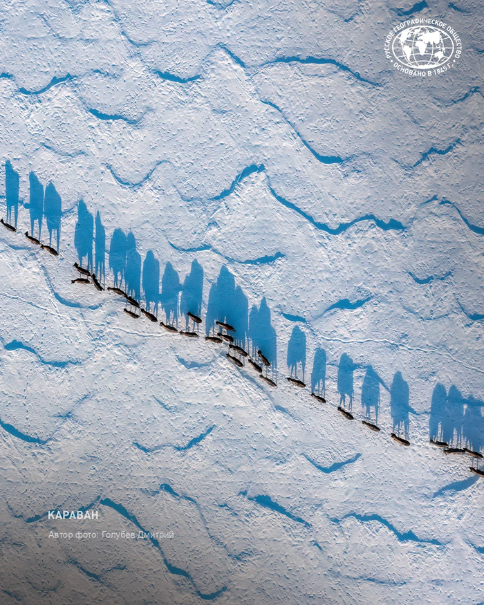 �������. ����: ������� �������, �������� ������������ ������ �������� ������, <a href="https://pikabu.ru/story/stado_zubrov_idyot_po_zasnezhennomu_polyu_vyityanuvshis_v_dlinnuyu_tsepochku_13718665?u=https%3A%2F%2Fmax.ru%2Frgo1845%2FAZx0wutSZGA&t=%D0%BE%D1%82%D1%81%D1%8E%D0%B4%D0%B0&h=6943dc87cd1c41f7d84219d2f0f65761f5922d03" title="https://max.ru/rgo1845/AZx0wutSZGA" target="_blank" rel="nofollow noopener">������</a>