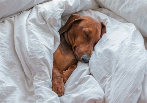 �������� ���