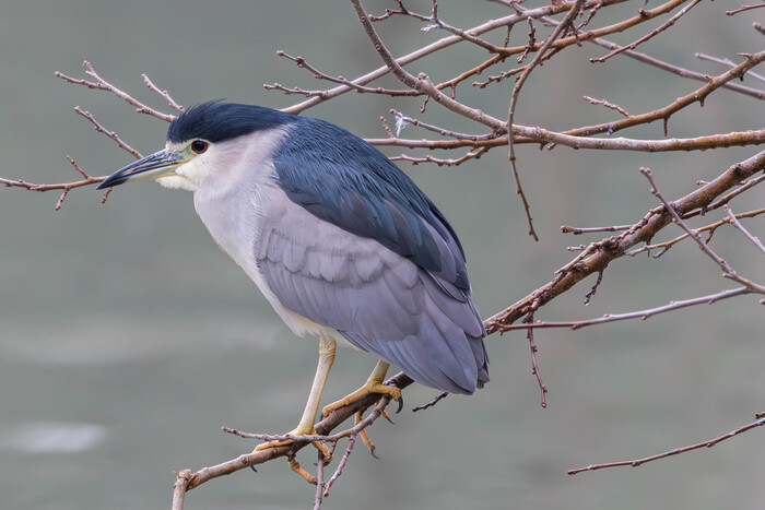 (���� �� ���� ��� ������� ��������)