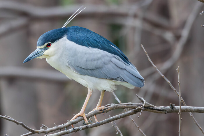 (���� �� ���� ��� ������� ��������)