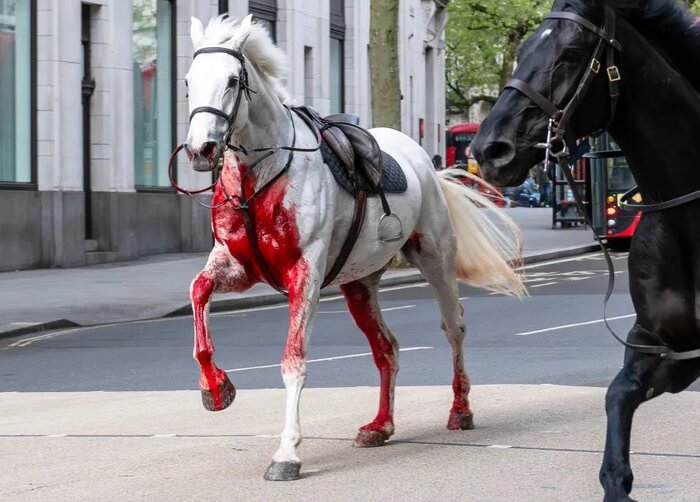 ������� ���������� ��������� � ������� ��������