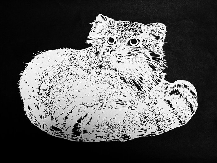 ������ ���������� �� ������