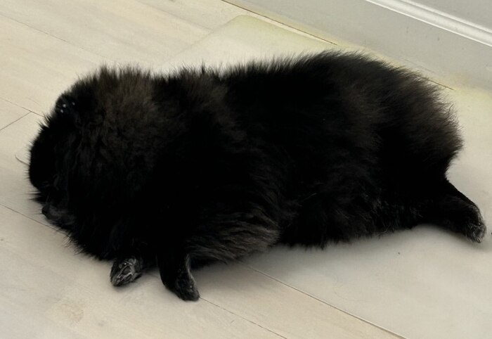 � ����� ����� �����, � ����� �� ���� ����