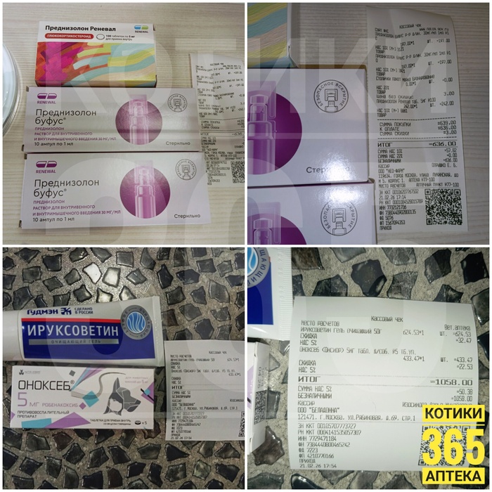 ������ 21.02.2026