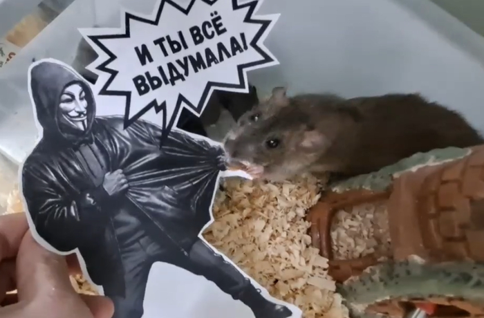 ������ ���� ��������� �������))