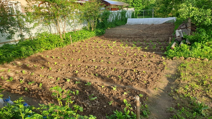 �������� � ����������� - �� �������!