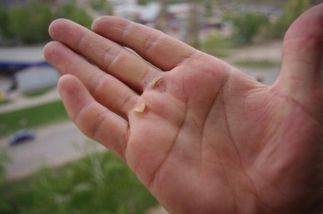 ������- ��������