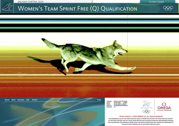 Собака на Олимпийских играх