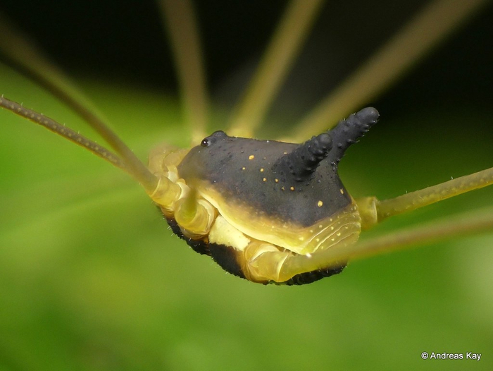 ��� ����� ���� ����� ������� �������.