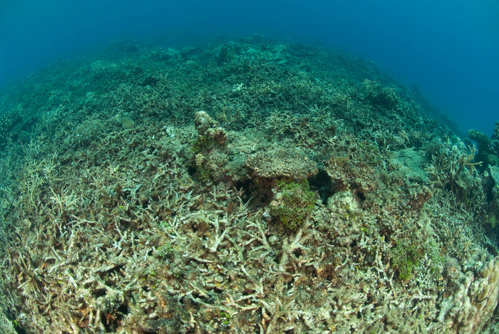 ��� �� ��������� ������� ������, ��� � ������� ���������. ��������� ��������� ��������� ��������.