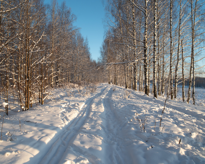 ��������� ����������� ����