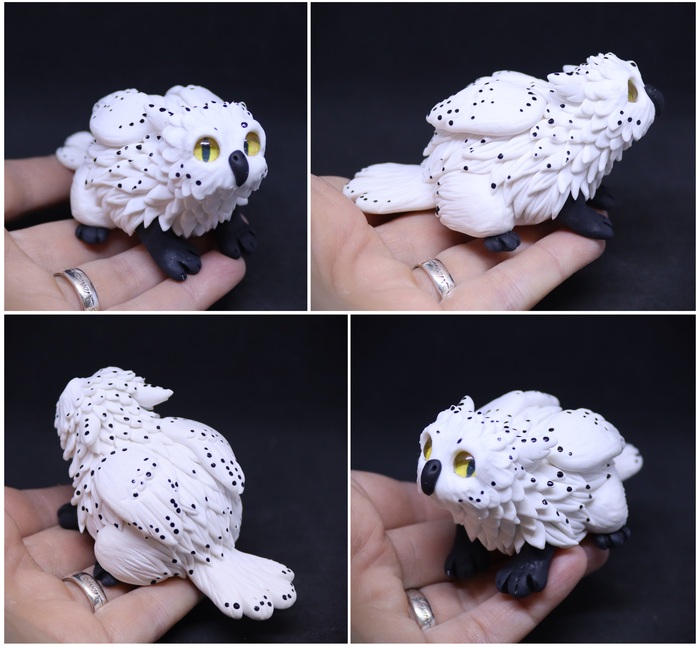 ����� ���� (����)