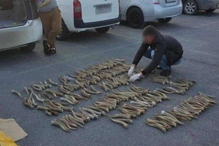 ����� 117 ��������