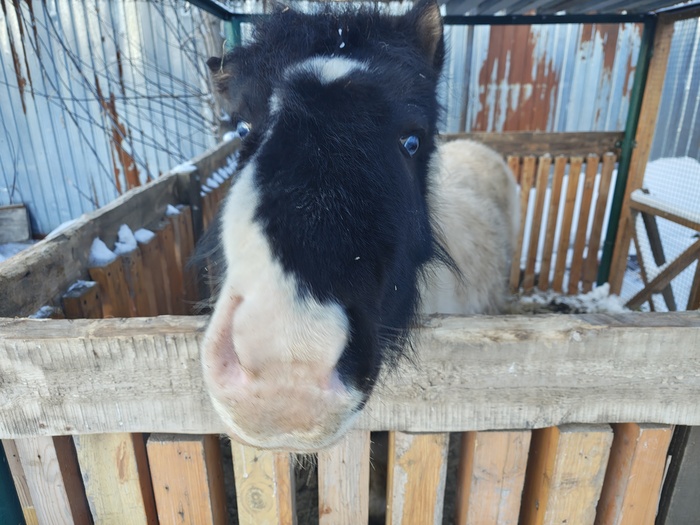 ���� - ����