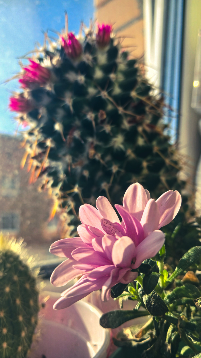 ����������� ����� ��� ����� �� �����, �� ������...��� ���� ��� '�����'... ����� ����� �������...�� ���- ���� ������...�