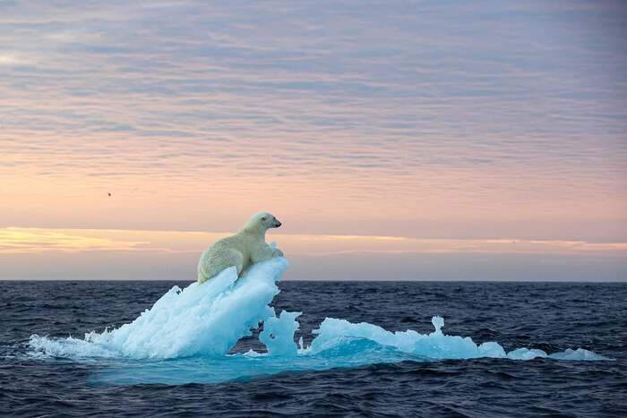 "Мы плывём на льдине..."