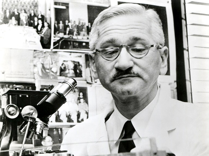 ������� ������