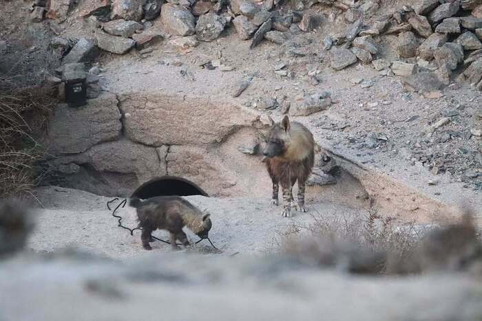 ����� ����!