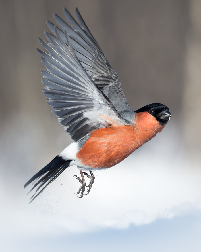 ����: ������ ������� <a href="https://pikabu.ru/story/snegir_13723158?u=https%3A%2F%2Frtraveler.ru%2Fphoto%2F1481476%2F%3Feditorial_photos%3D1&t=%D0%BE%D1%82%D1%81%D1%8E%D0%B4%D0%B0&h=07810d9d35c4a6f568bd25e4237ba473f5dd8531" title="https://rtraveler.ru/photo/1481476/?editorial_photos=1" target="_blank" rel="nofollow noopener">������</a>