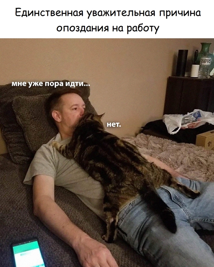 ������� ���������