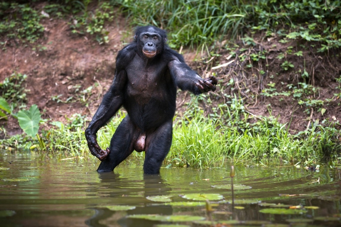 �������� �� ������� �����! � ��� ��� �������, �� ���� ���-��� ������������...