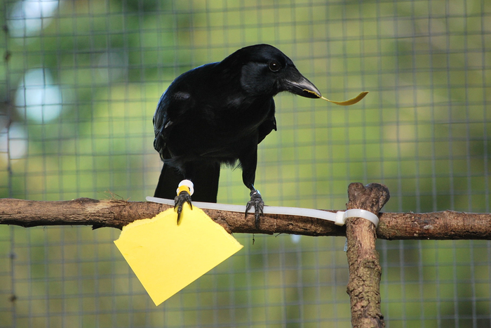 ��, �������� �������� ������ ����� �������� � ������� ��������.