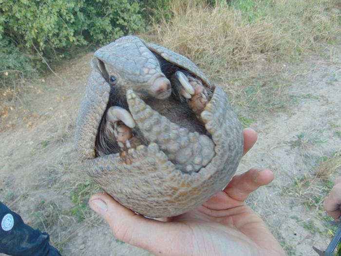 ����������, � ������� ����!