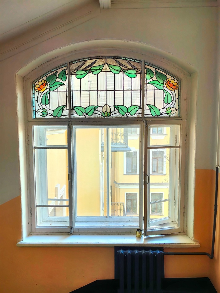 Кувшинки и рогоз. Фото А. Шаталкина.