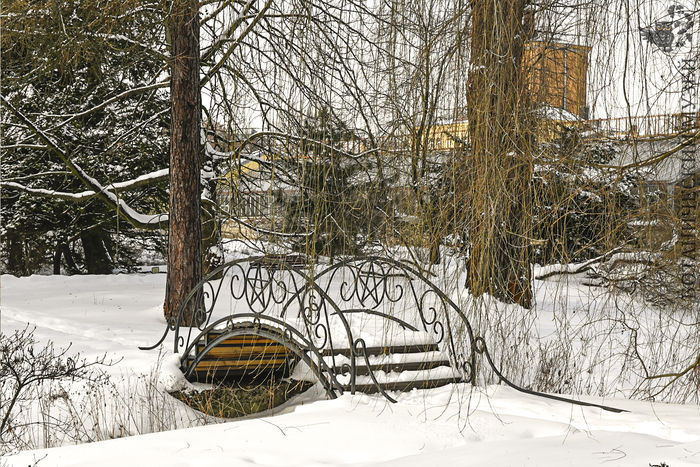 Парк БИН. Деревянный горбатый мостик через прудик.