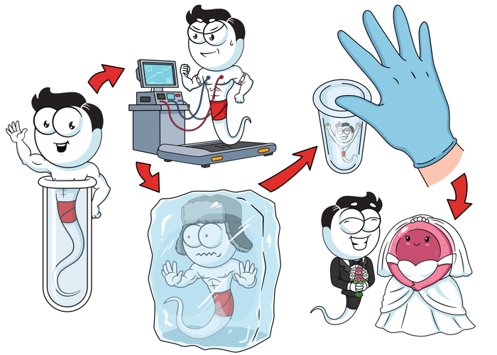 ���� ������ �� ���������� �� ����������