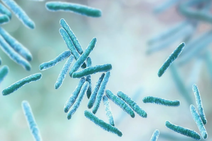 ��� ����� ������? (����� 4)