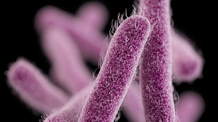 ��� ����� ������? (����� 4)