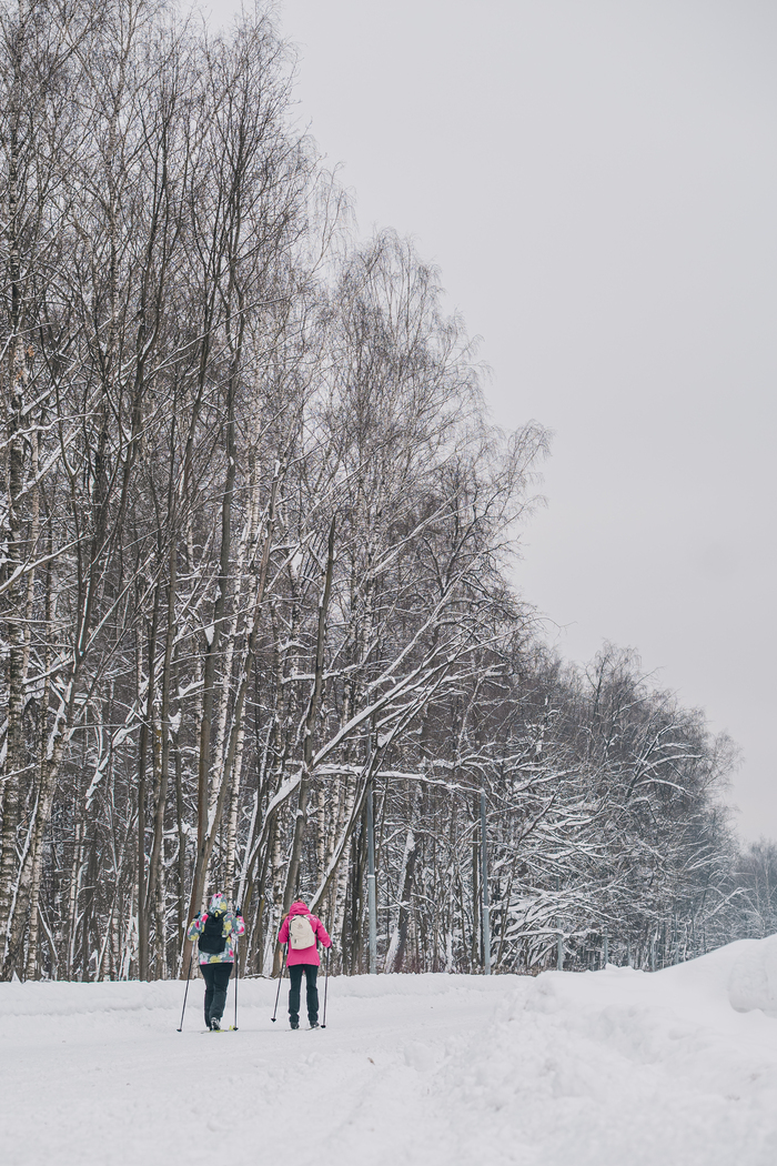 ������� �� ����. ������. 