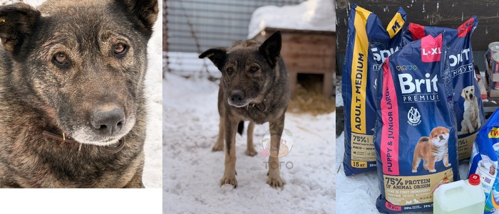 ���������� �������� �� ������ "����"