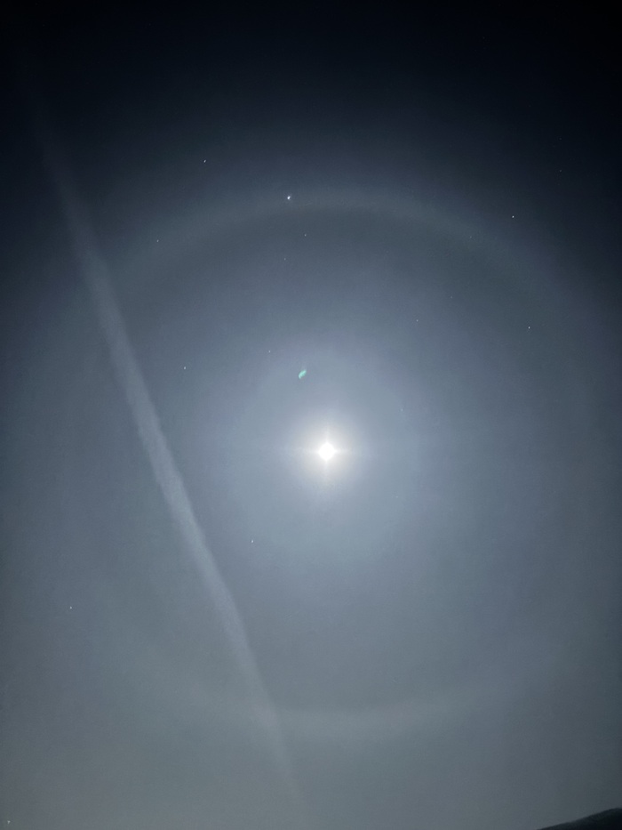 ������ ����