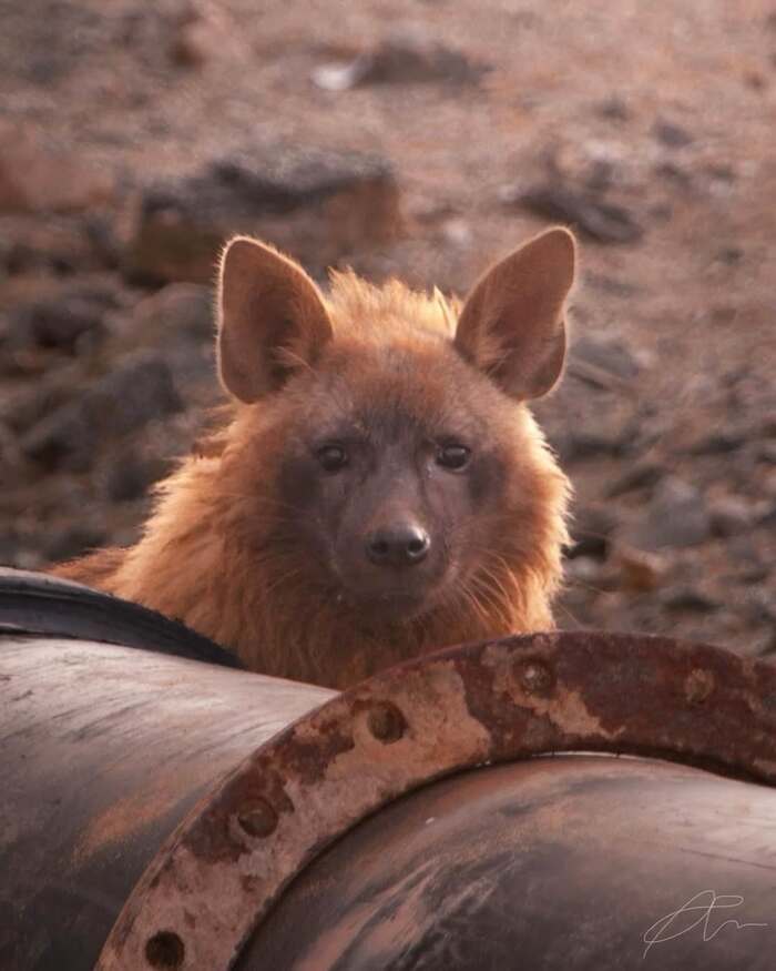 ���� �� ������� ��������-���