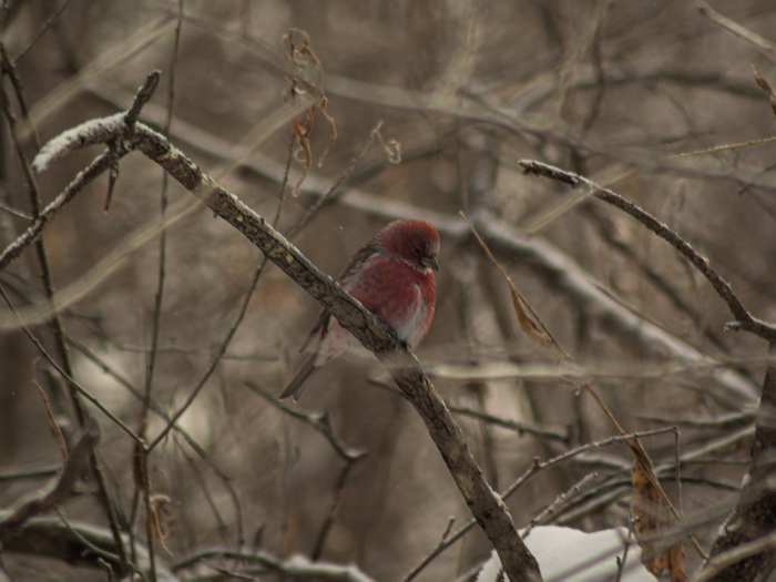 ����� ���������, � �������� ���������📸