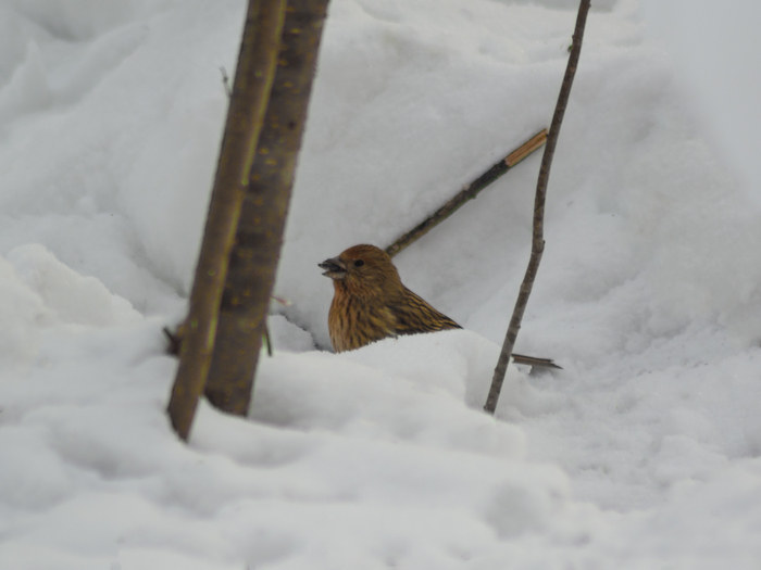 ������� �������📸