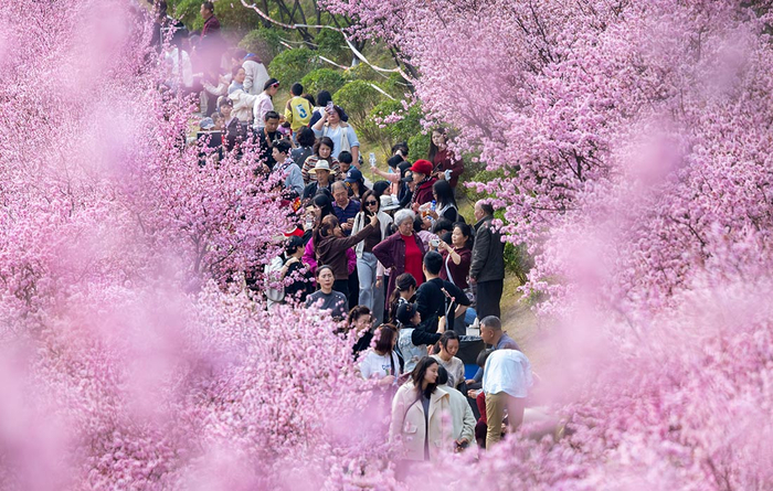 �������� ����� � ��������� �������//����: VCG/����