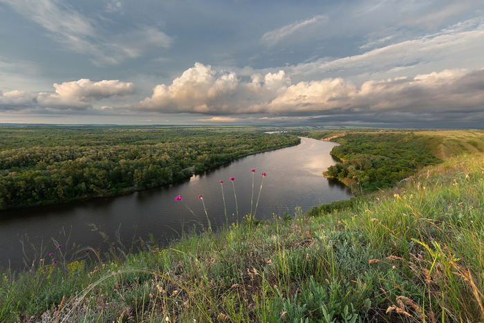 �������� ��� �����