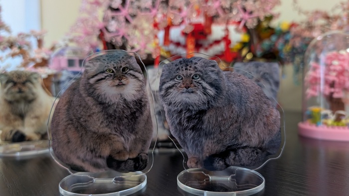 ����������� � ���������. ������ �������� ��� � ������� �����