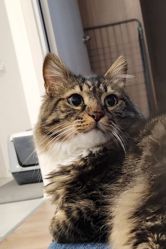 ���������� ������� #212